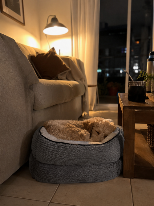 Cama Para Mascotas Premium 3 Tamaños Gris | Abrigo y Confort para Invierno
